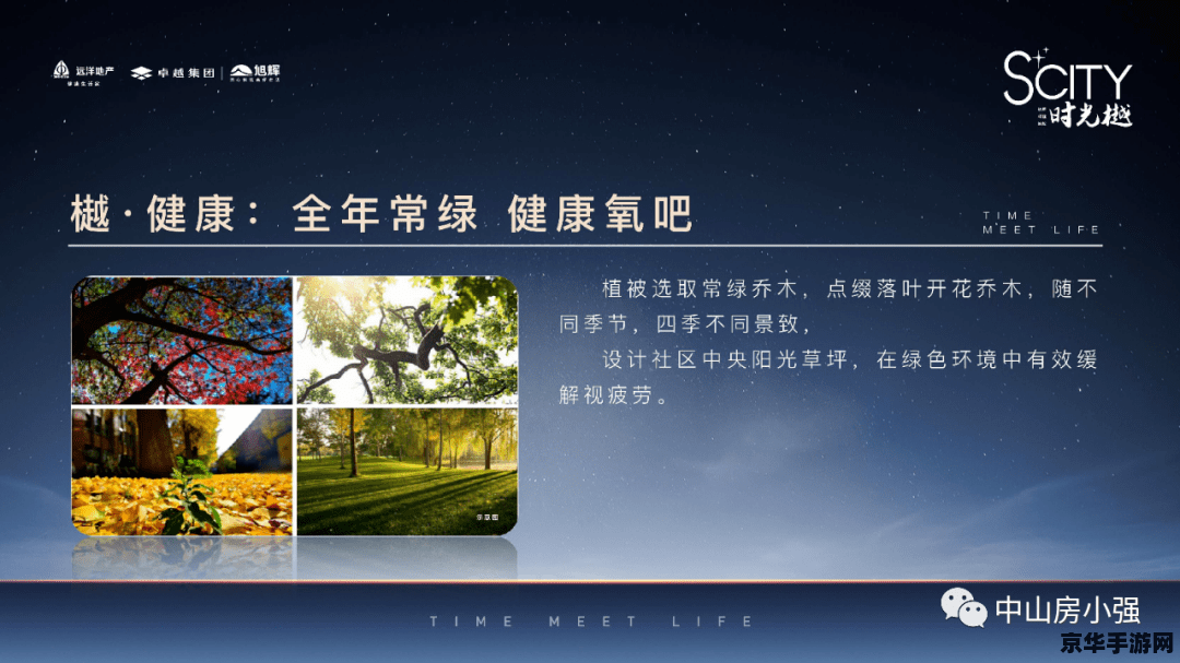 新超越极限密码 新超越极限密码深度解析