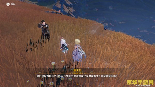 原神前往寻找真实的方法 原神：探索真实之旅的奥秘