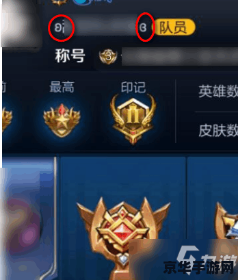 王者荣耀的符号怎么打 王者荣耀的符号怎么打