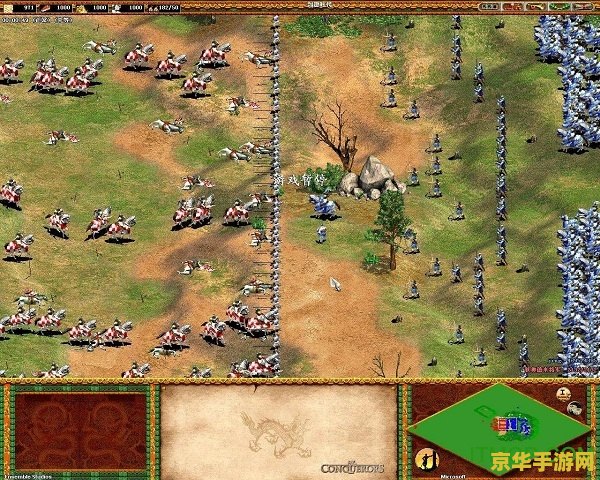 帝国时代2征服者1.0 帝国时代2：征服者1.0深度解析