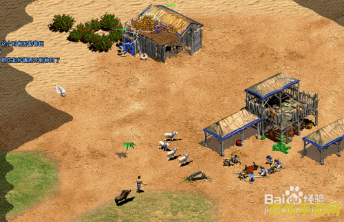 帝国时代2征服者1.0 帝国时代2：征服者1.0深度解析