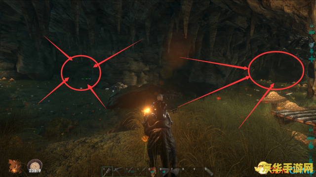 方舟生存进化3dm 方舟生存进化3DM：探索、生存与进化的极致之旅