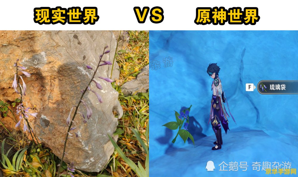 原神和提米道歉把东西吃了 原神中向提米道歉：意外吃掉他的鸽子后的故事
