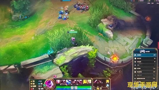 英雄联盟职业 英雄联盟职业电竞深度解析