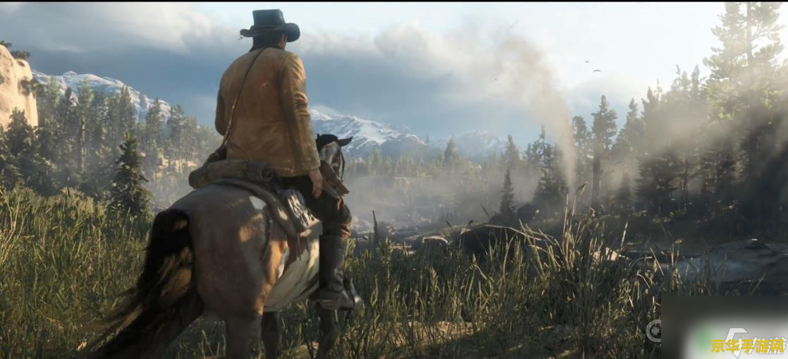 荒野大镖客pc 荒野大镖客PC版深度解析