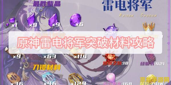 原神雷电将军突破材料清籁岛 原神雷电将军突破材料：清籁岛探索指南