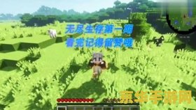 我的世界0.15 我的世界0.15：经典初现与无限创意的探索之旅