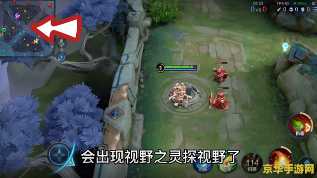 王者荣耀怎么视野 王者荣耀视野分析与调整策略