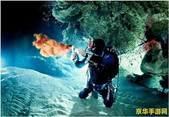圣者图希克 圣者图希克：神秘世界的冒险之旅