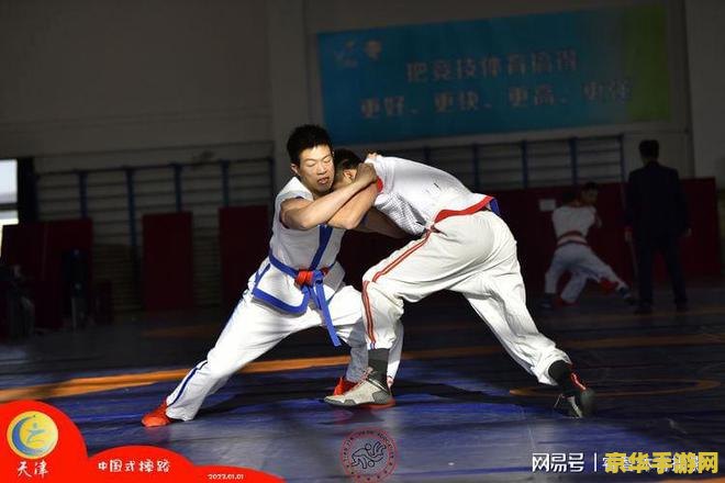 柔道用什么武器 柔道用什么武器：深入解析柔道的“武器”