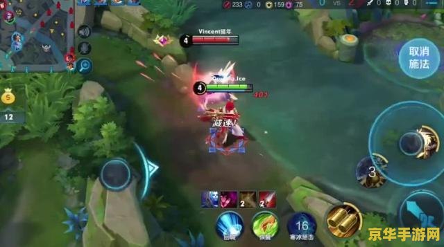 王者荣耀职业队怎么盈利 王者荣耀职业队盈利方式分析