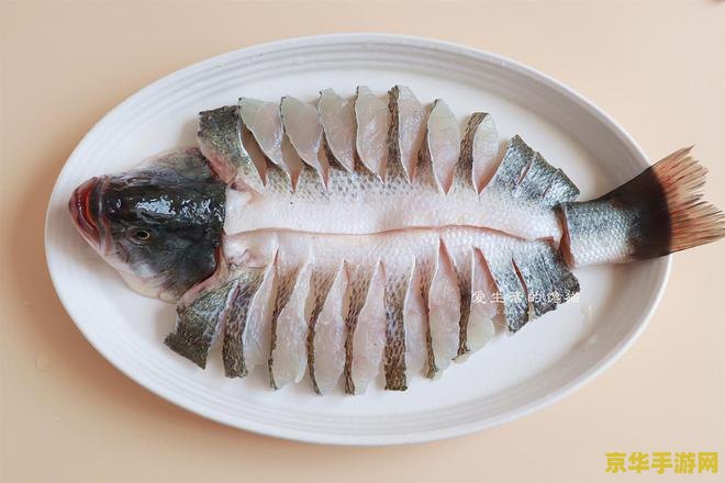 原神鱼肉能做什么 原神鱼肉能做什么