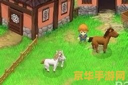 牧场物语双子村料理 牧场物语双子村料理：美食与田园的双重魅力