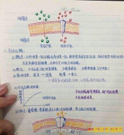原神厚厚的笔记有什么用 原神厚厚的笔记有什么用