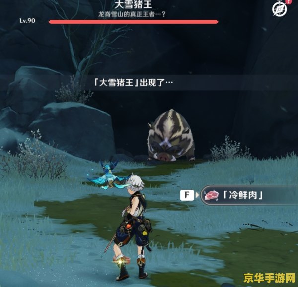 原神大雪猪王攻略 原神大雪猪王攻略