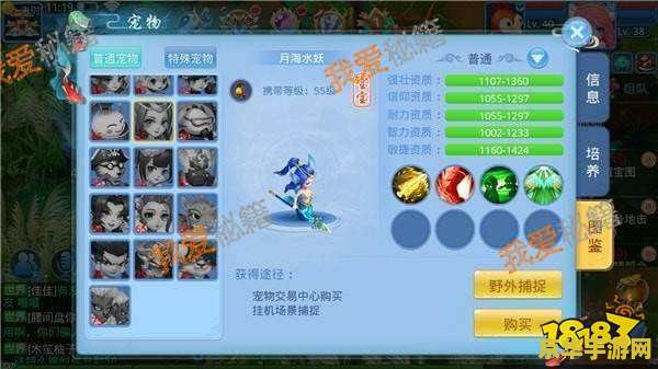 天书奇谈什么宠物好 <h1>天书奇谈什么宠物好</h1>