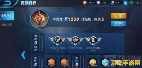 王者荣耀怎么计算金币 王者荣耀怎么计算金币