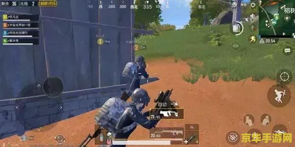 刺激战场的鸡 刺激战场中的“鸡”元素解析