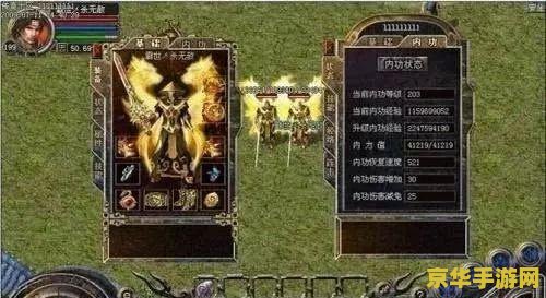 热血传奇 8l 热血传奇8L：传奇之巅的辉煌与探索