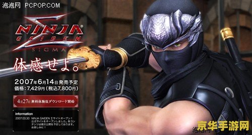 忍者龙剑传4 <h3>忍者龙剑传4：暗影再临</h3>