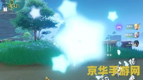 原神感谢你的苹果 原神：感恩回馈，苹果之情深