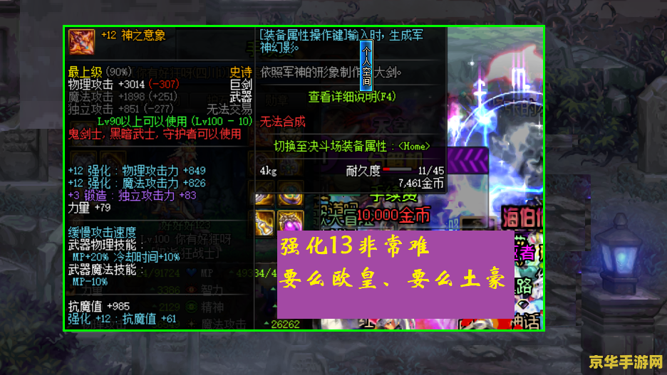 dnf丸子 DNF丸子：深入解析与游戏魅力探索