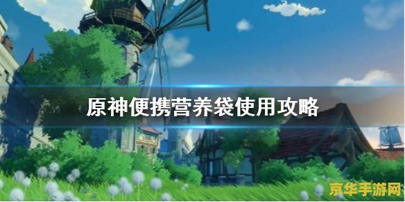 原神便携营养袋好用吗 原神便携营养袋好用吗