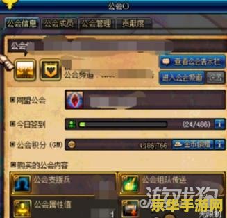 dnf公会仓库 DNF公会仓库深度解析