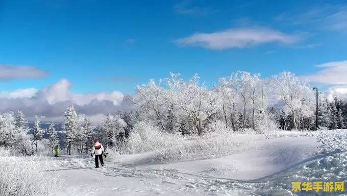 原神上不去雪山顶怎么办 原神上不去雪山顶怎么办
