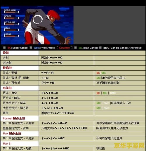 拳皇2002boss出招表 拳皇2002BOSS出招表详解