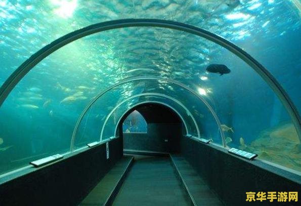 原神荒海海底隧道 原神荒海海底隧道探索指南