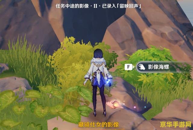 原神双双岛幻境海螺位置 原神双双岛幻境海螺位置