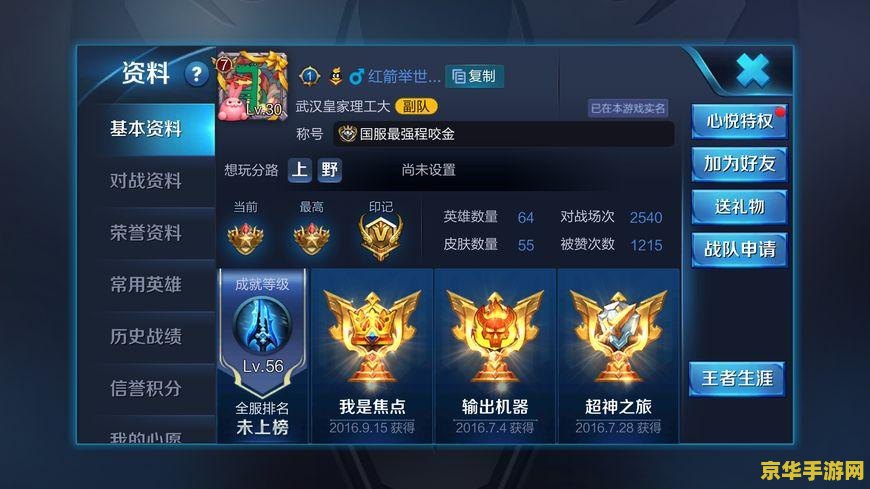 王者荣耀蓝怎么加 王者荣耀：蓝量管理与加点策略