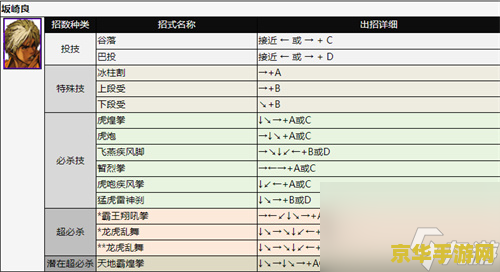 拳皇2002boss出招表 拳皇2002BOSS出招表