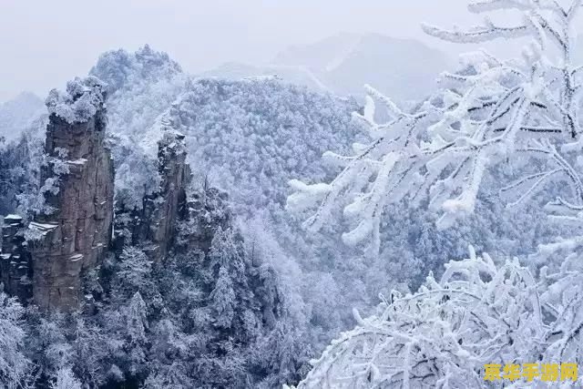 原神雪山洞 原神雪山洞探险指南