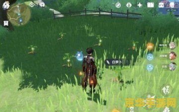 原神在哪里获得白萝卜 原神在哪里获得白萝卜
