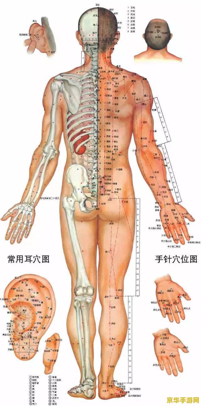 原神清心准确位置图 原神清心准确位置图及采集攻略
