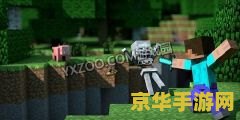我的世界op指令 我的世界OP指令详解