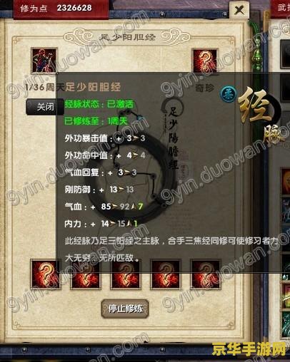 九阴真经多玩 九阴真经多玩：深度解析与游戏魅力探索