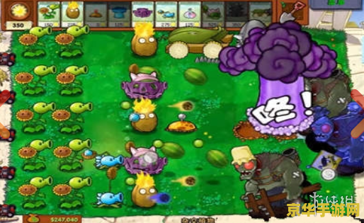 游戏 植物大战僵尸 植物大战僵尸：策略与勇气的绿色防线