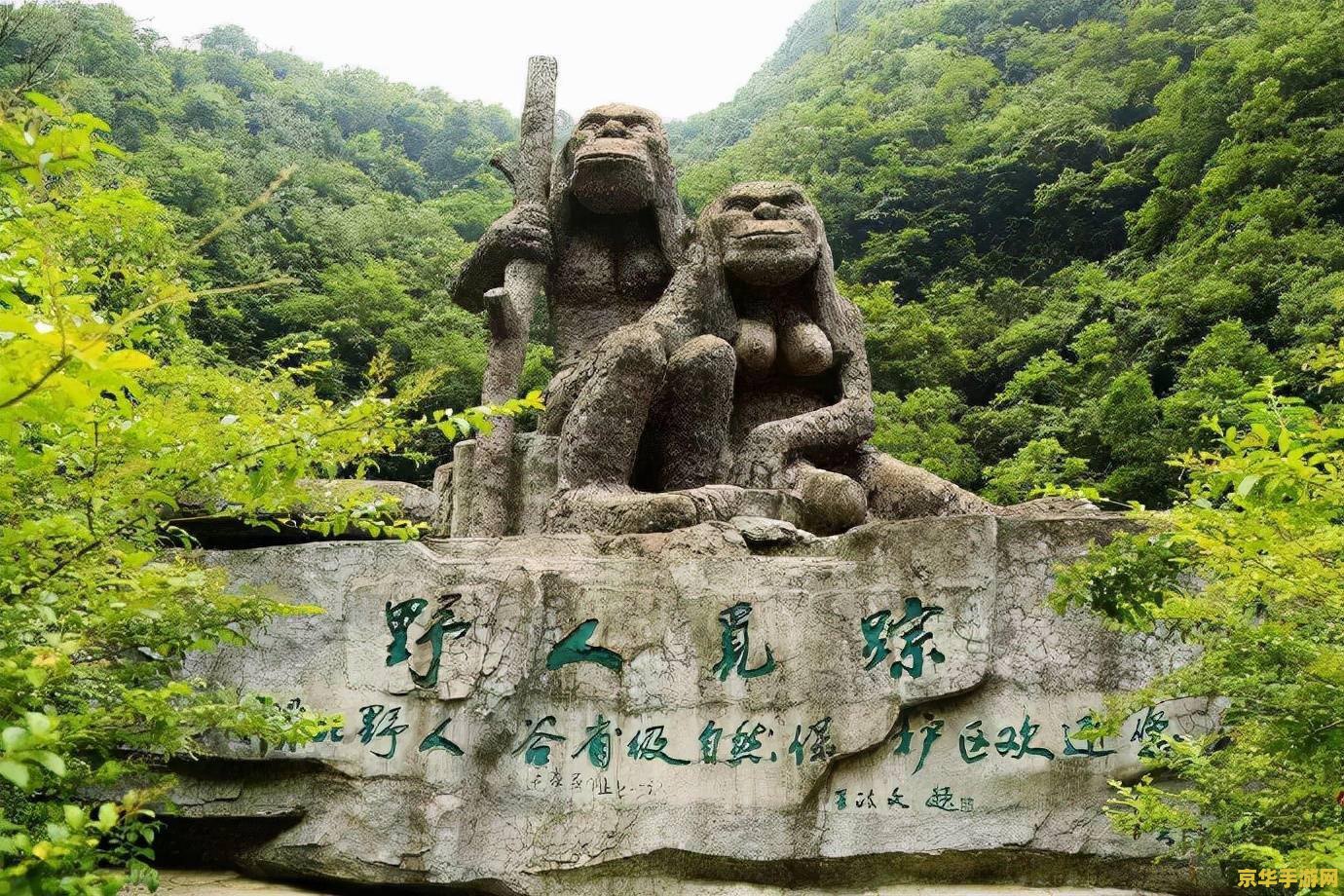原神中石林顶端 原神探索：揭秘石林顶端的秘密