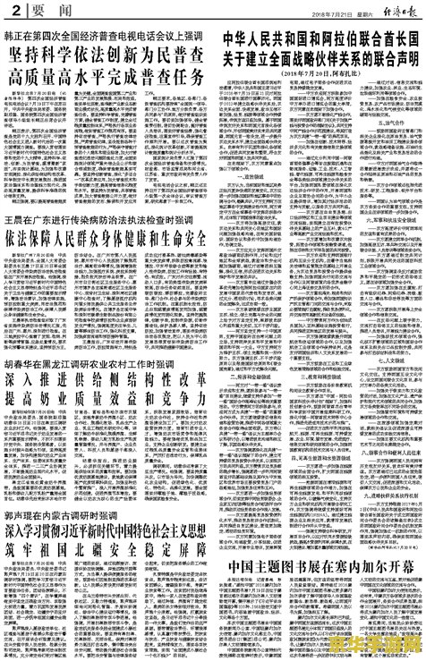 共和国指挥 共和国指挥：战略与荣耀的交响
