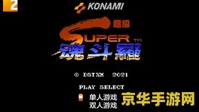 高桥名人冒险岛3无敌版 