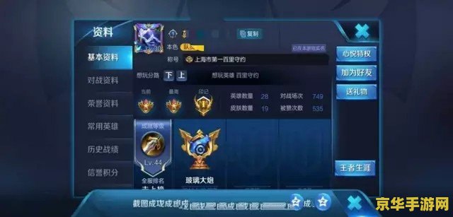 王者荣耀无敌挂怎么用 王者荣耀无敌挂怎么用：风险与道德考量