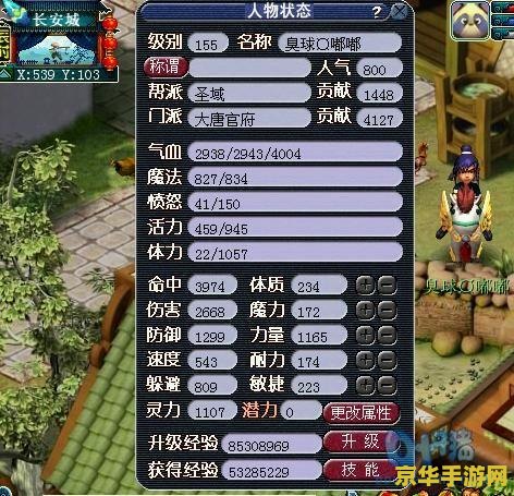 梦幻西游dt怎么加点 梦幻西游DT怎么加点