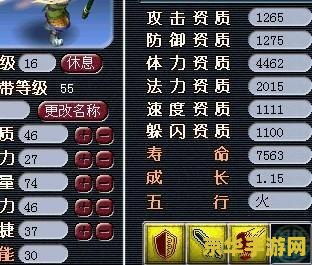 梦幻西游dt怎么加点 梦幻西游DT怎么加点
