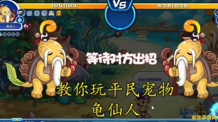洛克王国龟仙人 洛克王国龟仙人深度解析