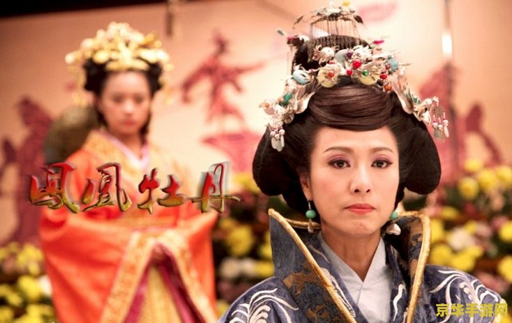 丽妃传奇 丽妃传奇：宫廷权谋与爱恨交织的史诗