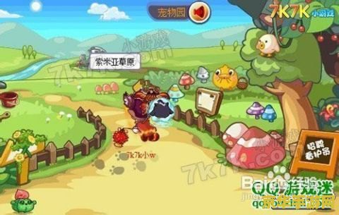 洛克王国龟仙人 洛克王国龟仙人深度解析