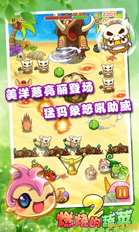 燃烧的蔬菜2特权码 燃烧的蔬菜2特权码深度解析